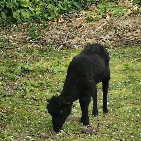 Agreable Tiny House A La Campagne Дом отдыха Moulins en Bessin