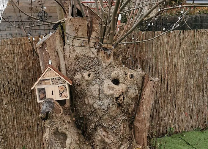 Agreable Tiny House A La Campagne *