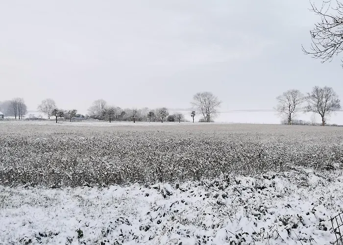Agreable Tiny House A La Campagne 펜션